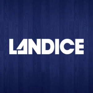 Landice